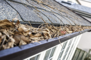gutter cleaning/ roof moss removal